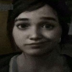 BoSinnX